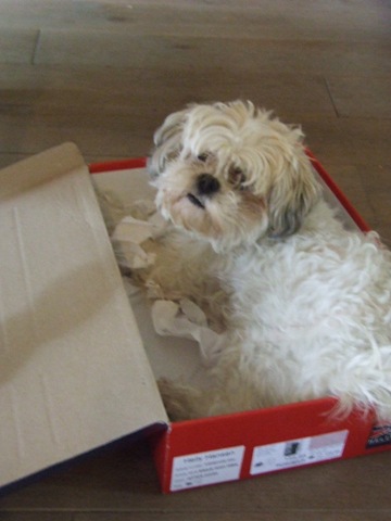 [20110812_9%255B3%255D.jpg]