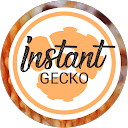 Image Google de Instant Gecko