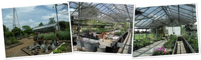 View greenhouse