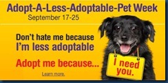 Petfinder less adoptable