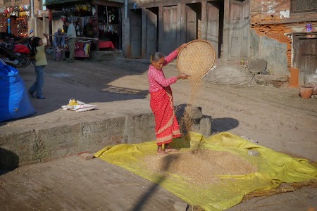 Nepaleza treierand orezul