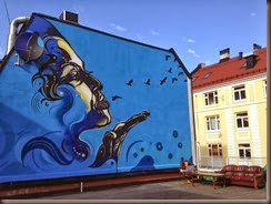 Street-Art-by-c215-in-Oslo-Norway1277