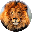 Image Google de cedric