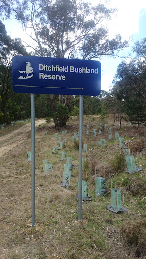 Ditchfield Bushland Reserve 