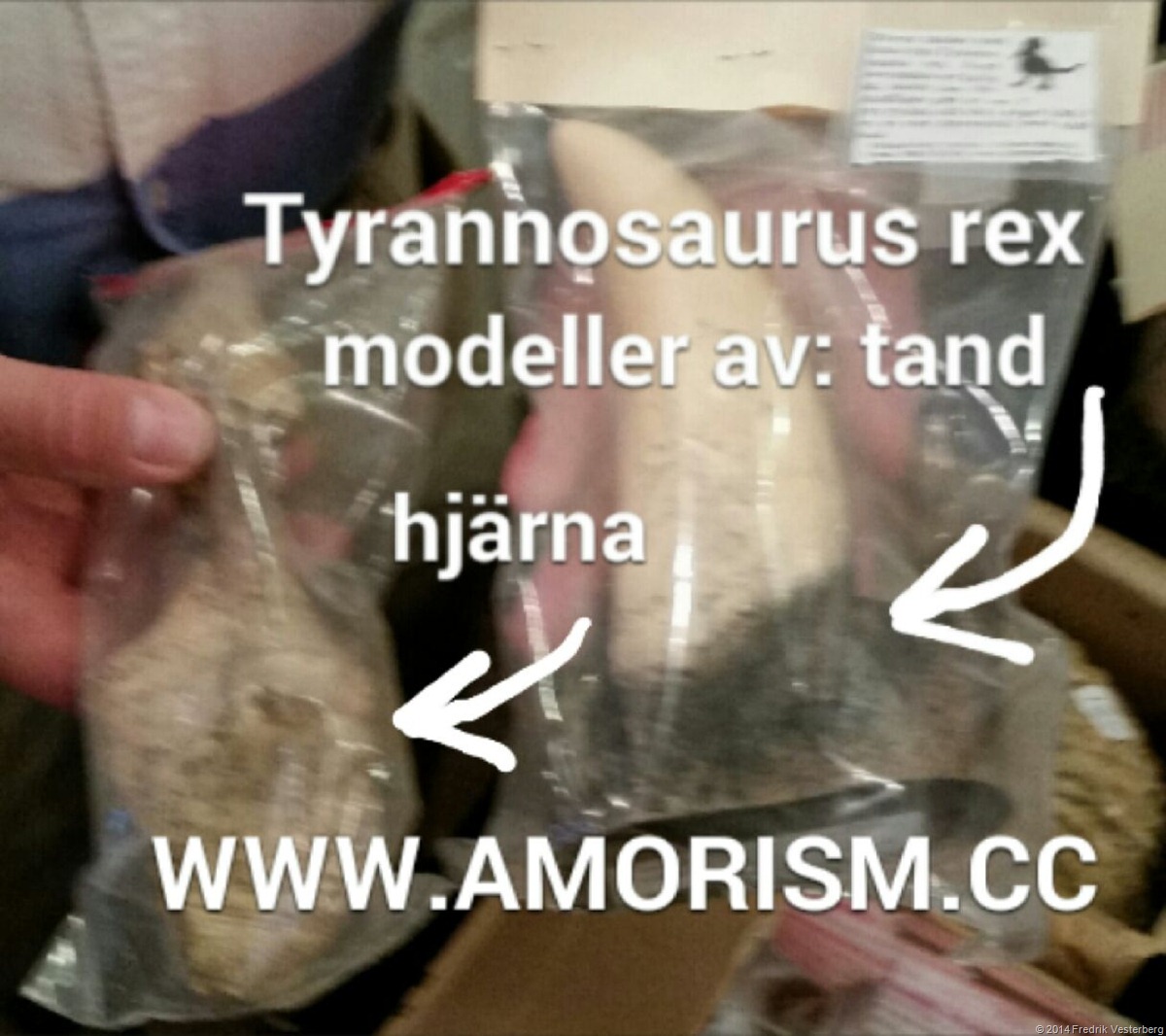 [bm-image-778053-Tyrannosaurus-rex-hj.jpg]