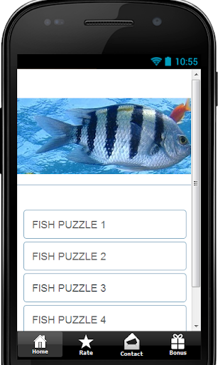 Fish Puzzle