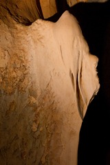 2011.08.24 at 09h05m36s Chillagoe, Donna Cave