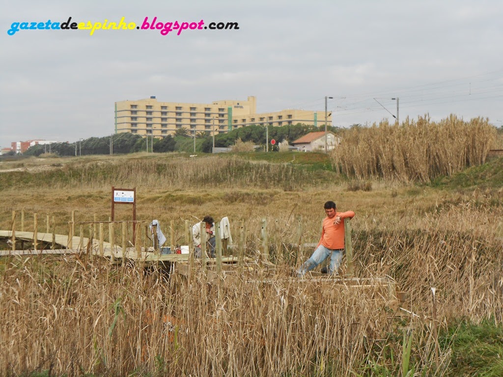 [Blog007Gazeta%2520de%2520Espinho%255B3%255D.jpg]