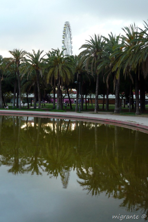 noria palmeras y reflejos - feria de julio valenciana
