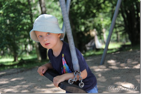 IMG_3358 IMG_3358
