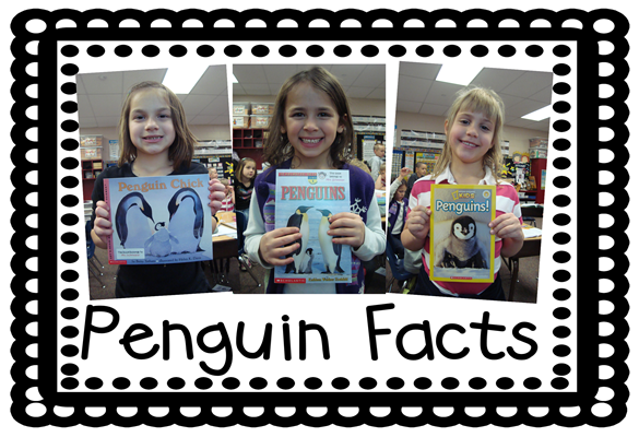 penguin facts1