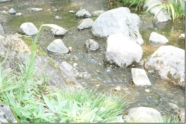 r-DSC00967 r-DSC00967