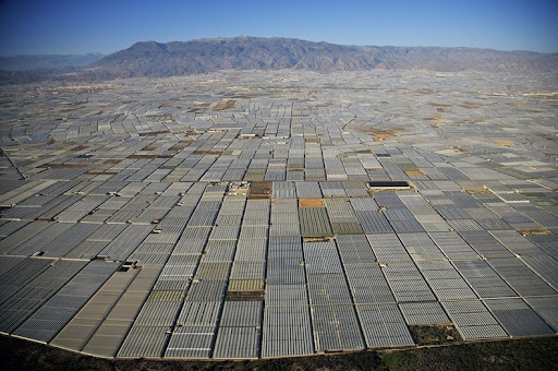 greenhouses-almeria%2525255B1%2525255D.jpg%3Fimgmax%3D800 greenhouses-almeria%2525255B1%2525255D.jpg%3Fimgmax%3D800