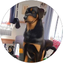Image Google de Stephanie Hst