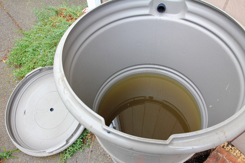 [121022_rain-barrel%255B6%255D.jpg]