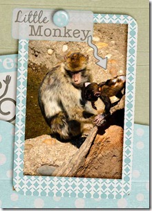 dettaglio little monkey