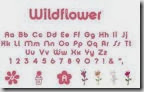wildflower design portfolio cd140