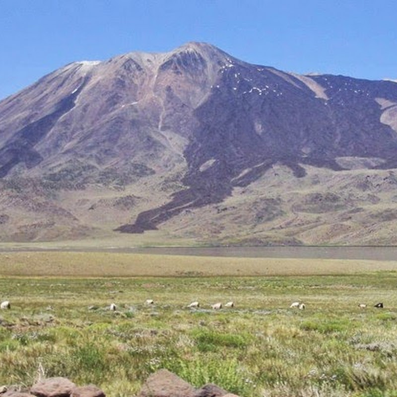 Recorriendo el Valle del Rio Negro: norte neuquino.