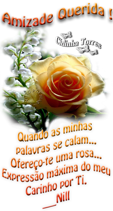 Cidinha%2520Torres%2520Mimo%2520para%252