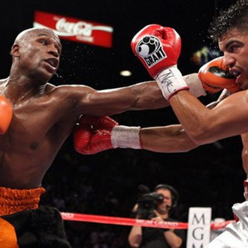 Video Tinju Floyd Mayweather KO Victor Ortiz foto foto 