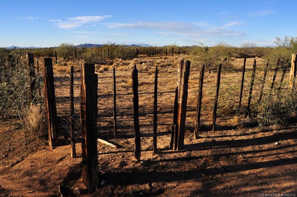 [DSC_0015%255B4%255D.jpg]