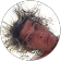 Dan H.