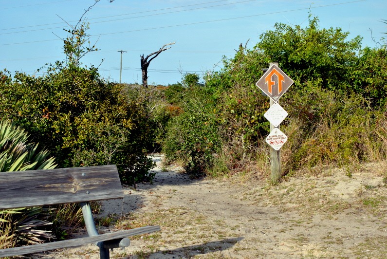 [05c---Florida-Trail-Sign1.jpg]