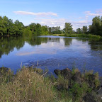 Loire au camping de Balbigny photo #870