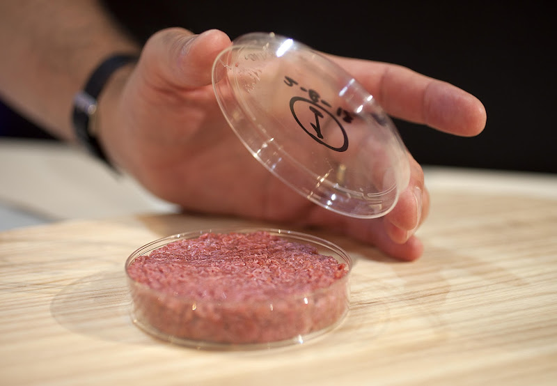 EDITORIAL USE ONLY. 
A burger made from Cultured Beef, which has been developed by Professor Mark Post of Maastricht University in the Netherlands.  
PRESS ASSOCIATION Photo. Issue date: Monday August 5, 2013. 
Cultured Beef could help solve the coming food crisis and combat climate change. Commercial production of Cultured Beef could begin within ten to 20 years. 
Photo credit should read: David Parry/PA