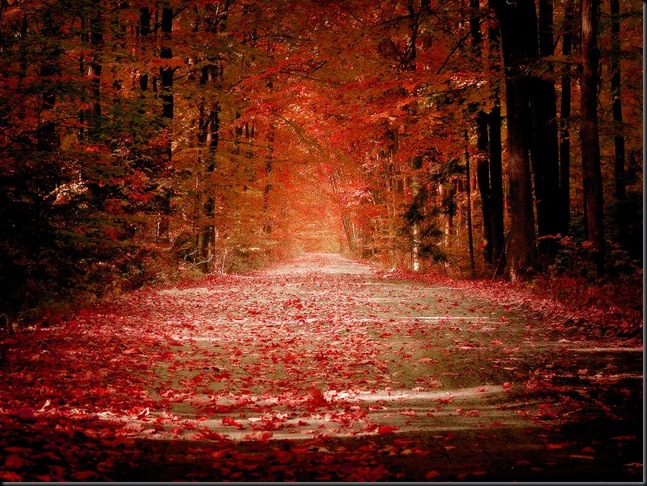 autumn 2
