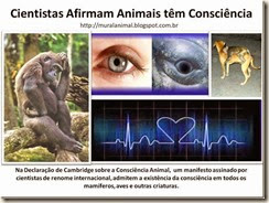 Cientistas Afirmam Animais têm Consciência_thumb[1] (1)