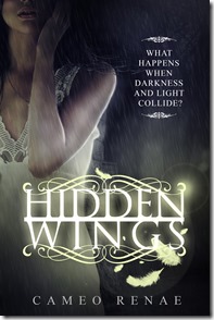 hidden_wings