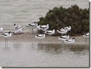 IMG_0038 IMG_0038
