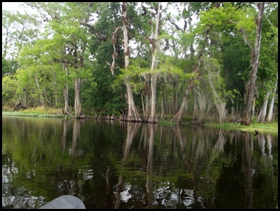 Paddle to Hontoon 111