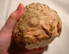 celeriac.jpg