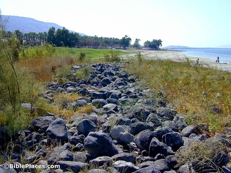 [Hippos%2520harbor%2520looking%2520south%252C%2520tb101399201%255B4%255D.jpg]