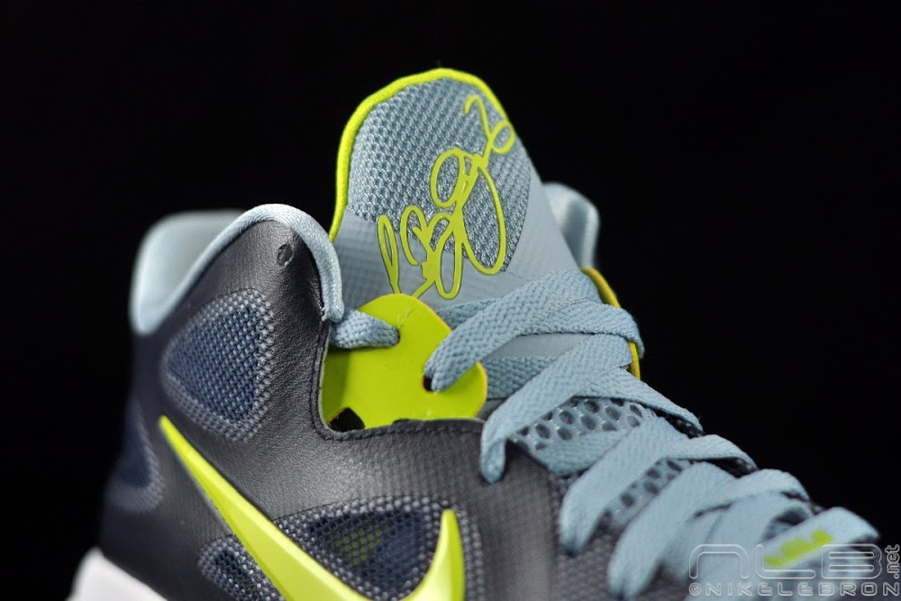lebron james low tops