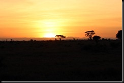 October 18 2012 Serengeti Sunrise