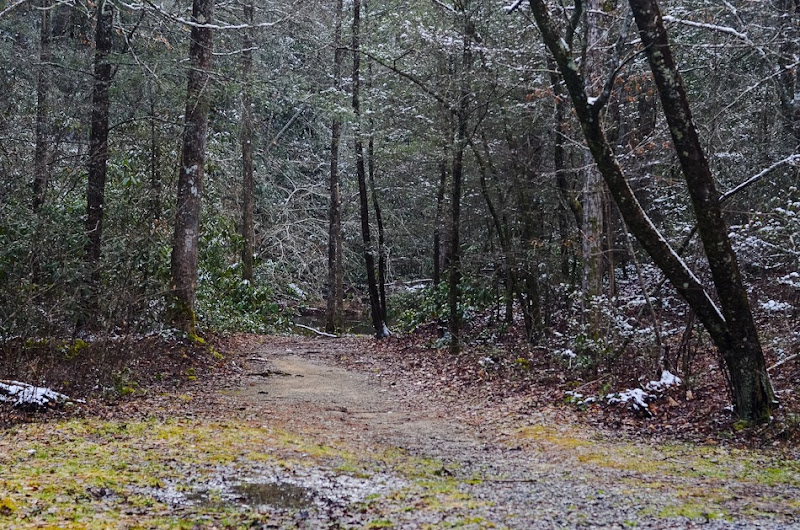 Coker Creek falls and wet feet Pancake Ninja