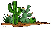 mexico_cactus