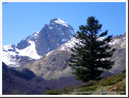Arista NO y Descenso Cara Oeste con esquís (Pico de Arriel 2822m, Arremoulit, Pirineos) (Isra) 9485