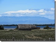 IMG_0906 IMG_0906