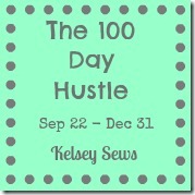 100 Day hustle