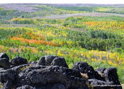 Fall color on Steens Mountain