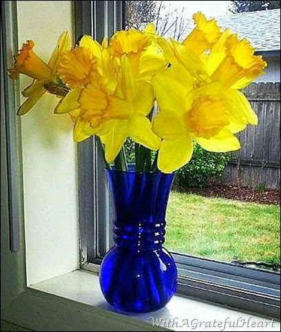 Sunny Day Daffodils