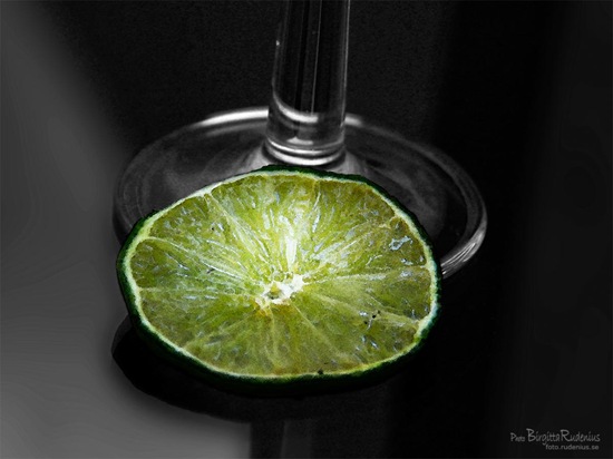 pm_20110928_lime1a