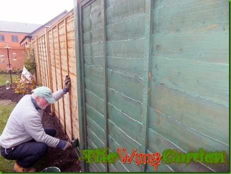 The Wong Garden Going Green This Is A Picture Of My Dad Helping Us To Paint I Was Obviously Too Just Stopped Take The Very Important Photos But Fence Did Look