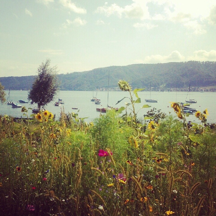 [IMG_20120802_204943%255B8%255D.jpg]