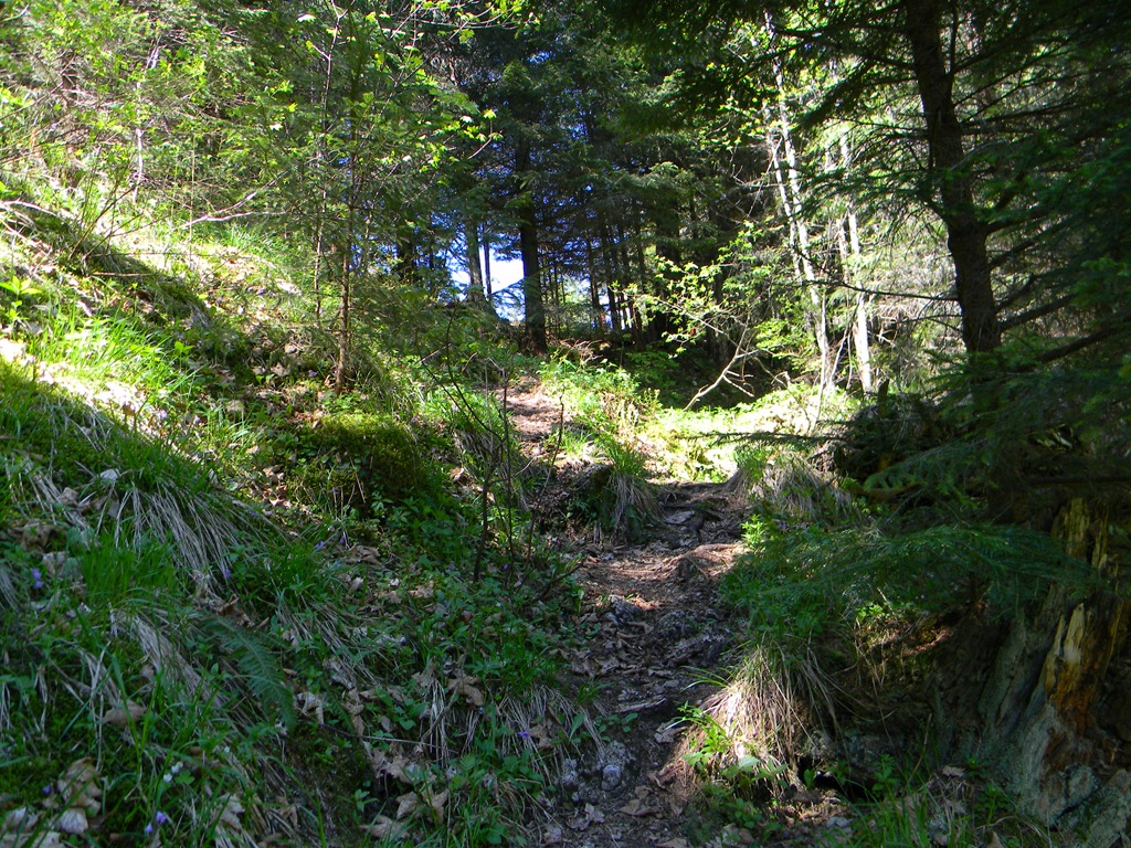 [DSCN56513.jpg]