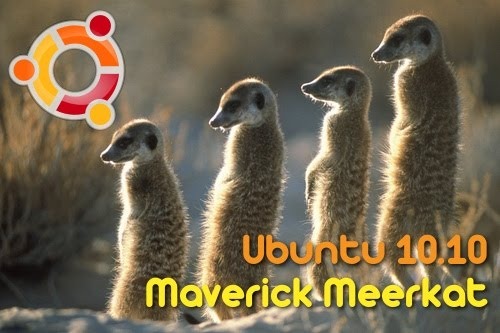 [maverick-meerkat%255B4%255D.jpg]